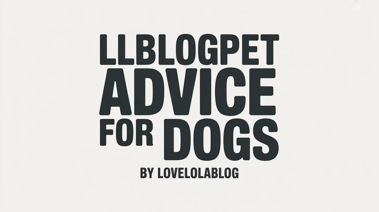 llblogpet advice for dogs by lovelolablog | Expert Dog Care Tips & Pet Health Guide